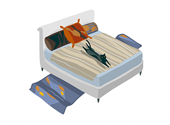 object